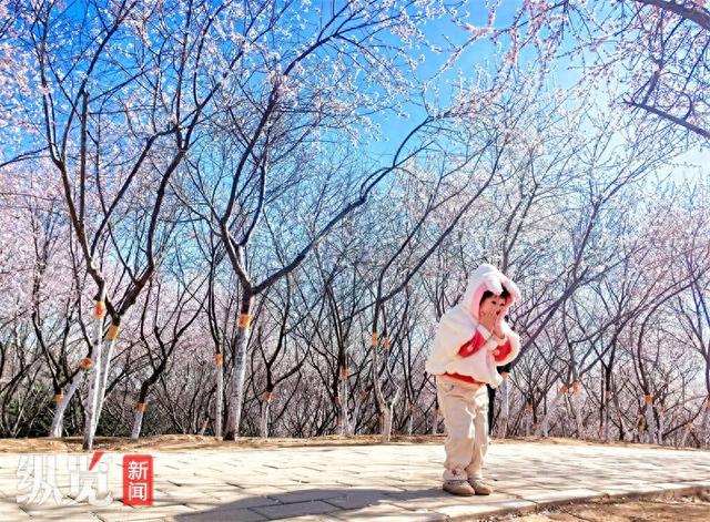 网易河北-有态度的河北门户