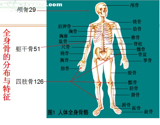 中医针灸培训班分享一个月学针灸学习班的中医针灸视频教程 -  Powered by Discuz!