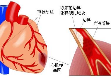 628健康网-优质健康、养生、生活百科知识分享平台！