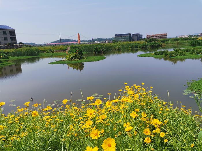 矿山生态修复,山水林田湖草生态修复环保公司-西施生态